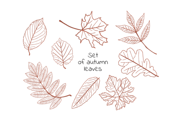 Autumn Falling Leaves